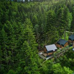 Norway Cabins