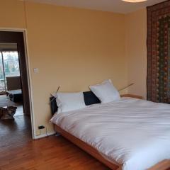 Appartement avec balcon : Le Serenity