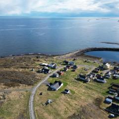 Barents sea window