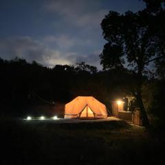 Eco Glamping. Private luxury tent in Alfambras.