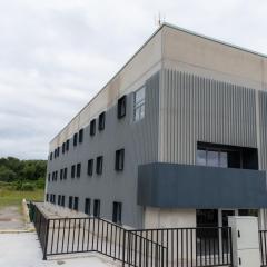 ESTRELA DO CAMIÑO