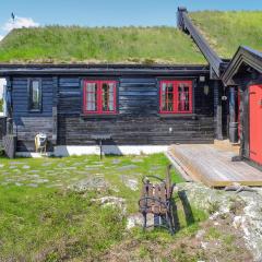 Cozy Home In Nissedal With Kitchen