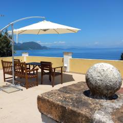 Olea Home