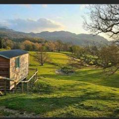 Shepherds hut above mawddach estuary