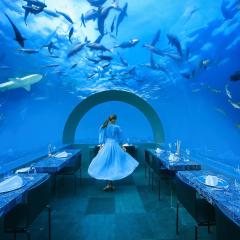 You & Me Maldives - Adults Only - Premium All-Inclusive