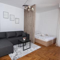 Apartman Vas dom 2