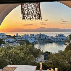 Magnifique Villa sur la plage de Piso Livadi - Paros