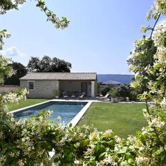 Les Agapanthes de Gordes