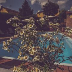 Agriturismo I Surì Asti
