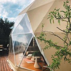 Glamping geodesic dome in secluded eco retreat