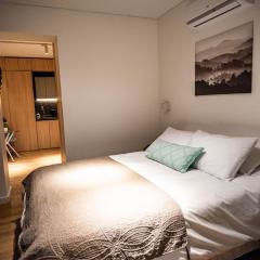 Loft Nuevo en Santiago, Barrio Lastarria