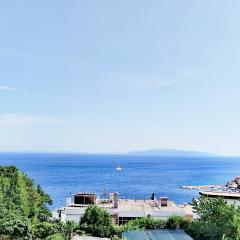 Apartment Volosko View