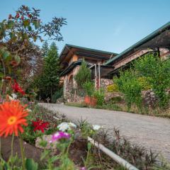 Tree of Life Resort Dehradun Foothills