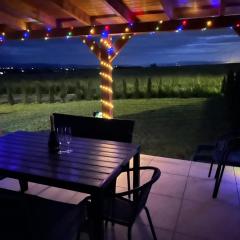 Vila Luxury