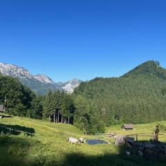 Apartment Hochsteinalm