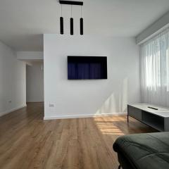 Lovely Cozy Apartments in Central Suceava
