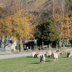 Bauchops Hill Station Farmstay