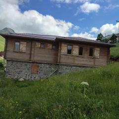 uzungöl demir kapı bungalov dağ evi