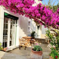 Bougainvillier