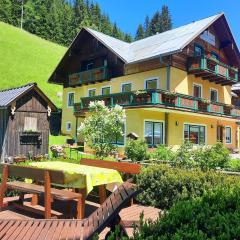 Ski- und Wander Appartements Schiffer