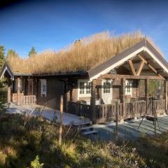 Spurveslottet - cabin by the amazing Trollheimen