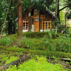 Bararay Giripur Homestay