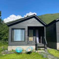 Cottage kazbegi sioni