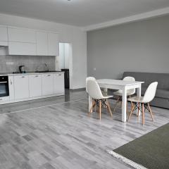 Bright and cozy apartment nr. 1