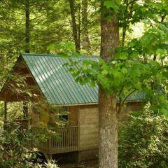 Holly Nest a Cozy Cabin Getaway near Gatlinburg