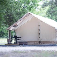 Pudon Groves Luxury Glamping #4