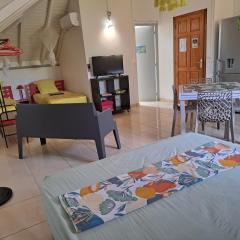 STUDIO LAURIER - 4 pers - proche bourg -1-