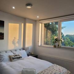 Astral 1 BR Flat in London AS36