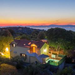 Luxury villa with a swimming pool Skrip, Brac - 17350