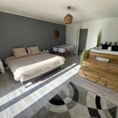 Studio SPA Balnéo - Jardin privé