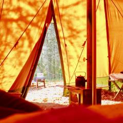 Wildlife camp In a Nordic tipi