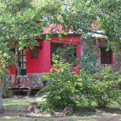 Cabañas spa el petrel