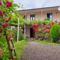 Guesthouse Mtkvari