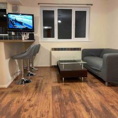 London flat next to DLR station with free parking