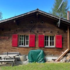 Beautiful Swiss chalet with breathtaking views and a sauna