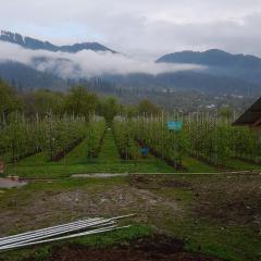 Brengi Organic Farm & Resorts