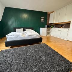 Linz -central condo