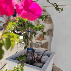 white & stone home