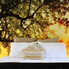 Hideaway Falls - Bunya Cottage