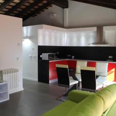 Apartment in the city of Olot Penthouse