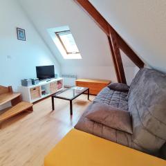 Chez Charlotte, T3 duplex, vue montagne, parking gratuit, ascenseur, 4 personnes