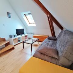 Chez Charlotte, T3 duplex, vue montagne, parking gratuit, 4 personnes