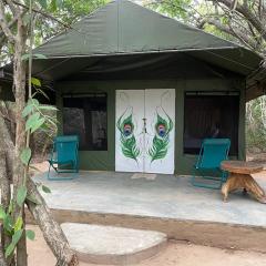 Leopard Camping Yala