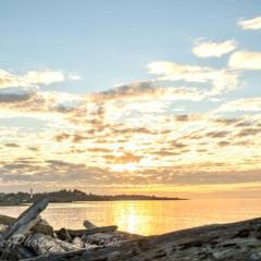 Esquimalt Lagoon Life