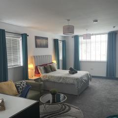 Entire Brand New Serviced Apartment in Moseley