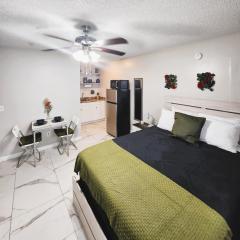 Adorable Mini Suite in Tampa